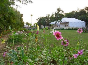 Jungle View Resort Sawai Madhopur Exterior photo